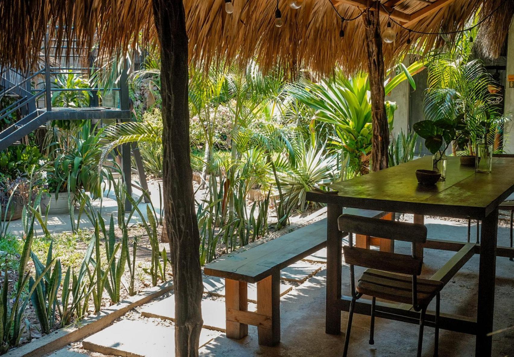 Auberge de jeunesse Puerto Dreams H à Puerto Escondido  Extérieur photo